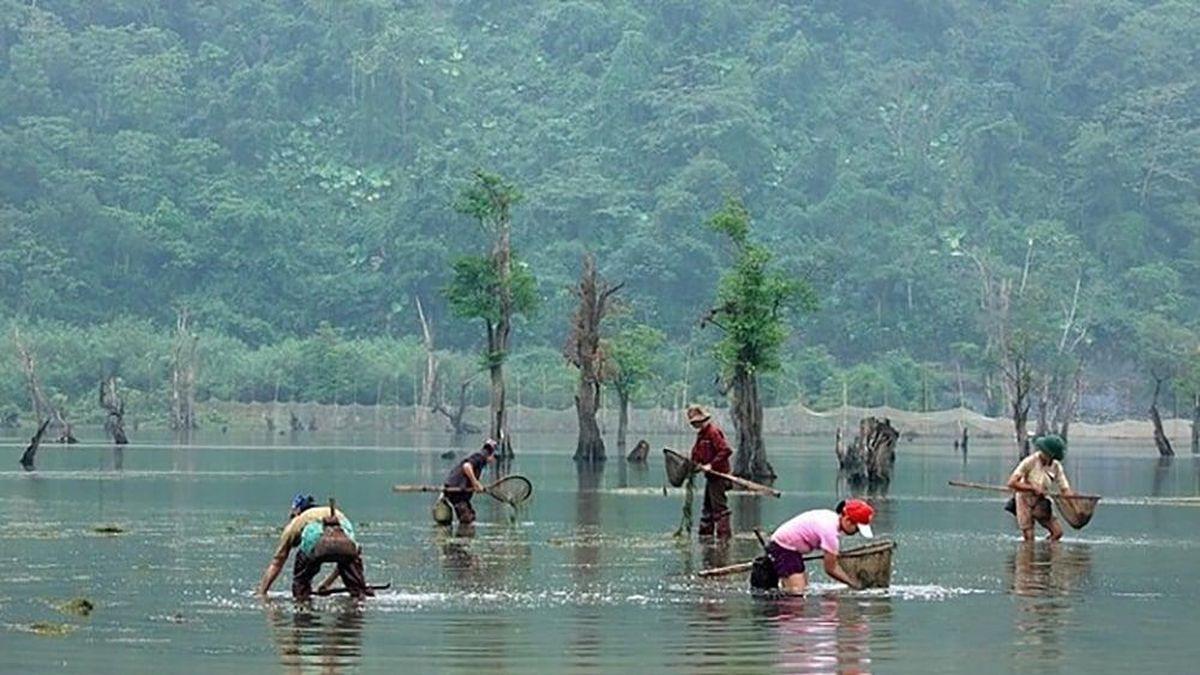 Khám phá đời sống cộng đồng người Tày