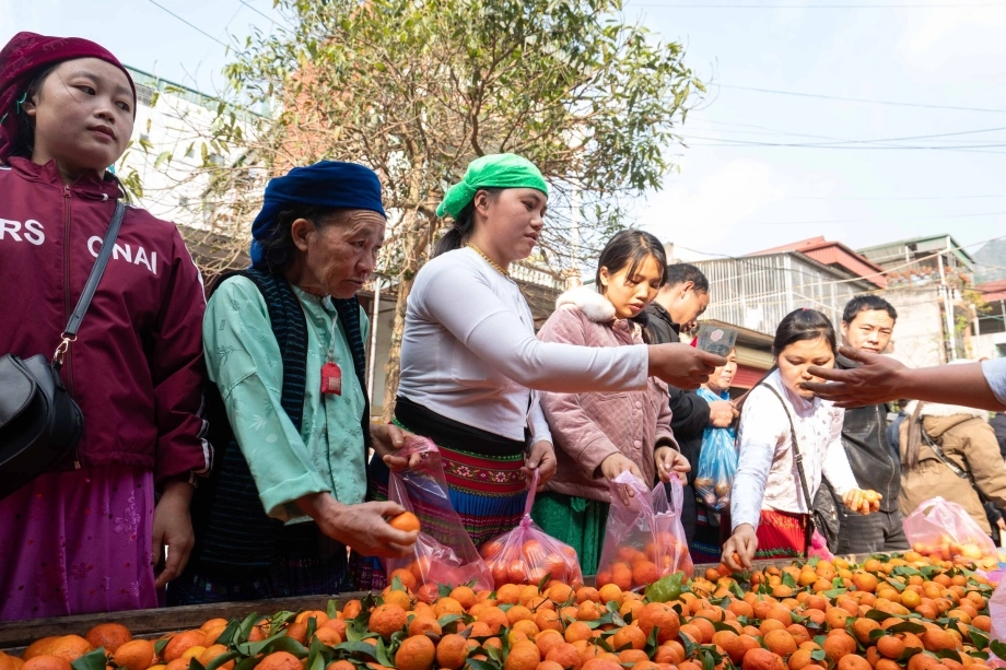 Tìm hiểu văn hóa địa phương