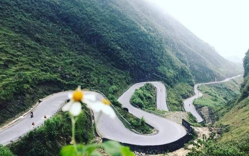 Ngắm mây và sương vùng cao