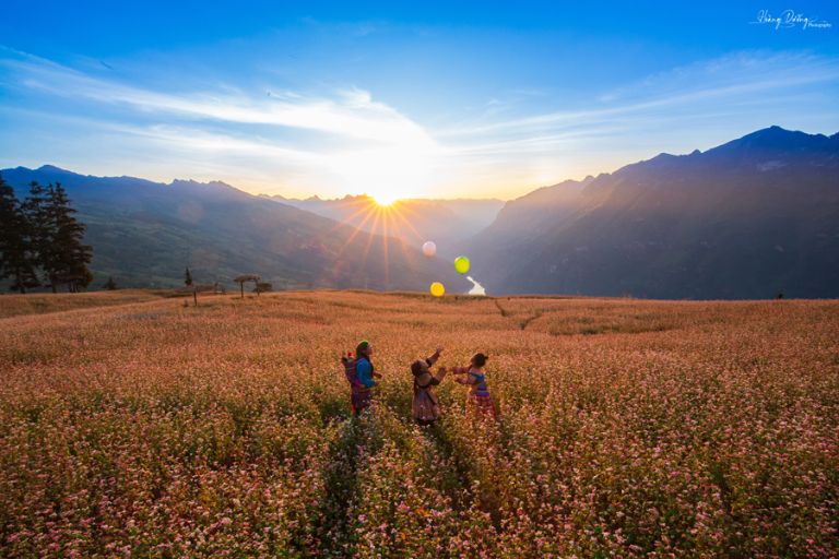 Dã ngoại và ngắm hoàng hôn