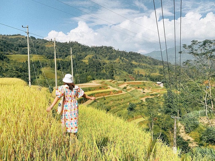 Khám phá văn hóa canh tác địa phương