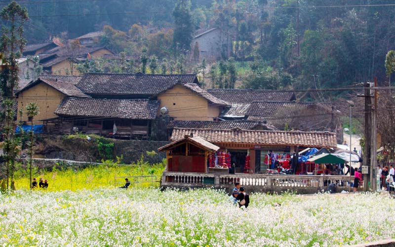 Làng Lũng Cẩm – Nhà của Pao