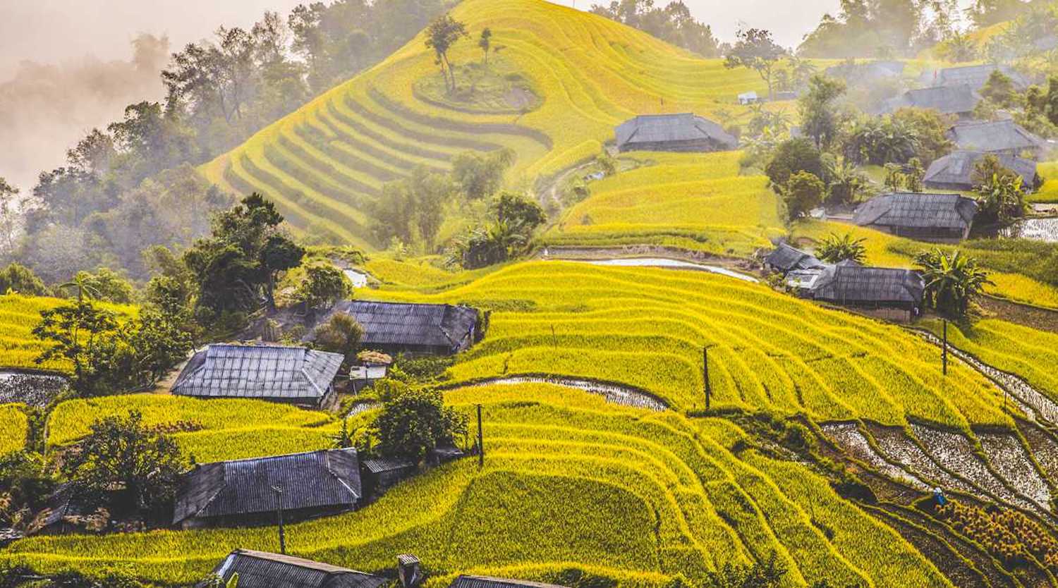 Ruộng bậc thang Thông Nguyên
