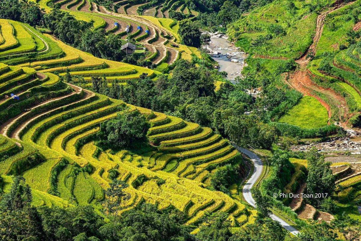 Ruộng bậc thang Bản Phùng