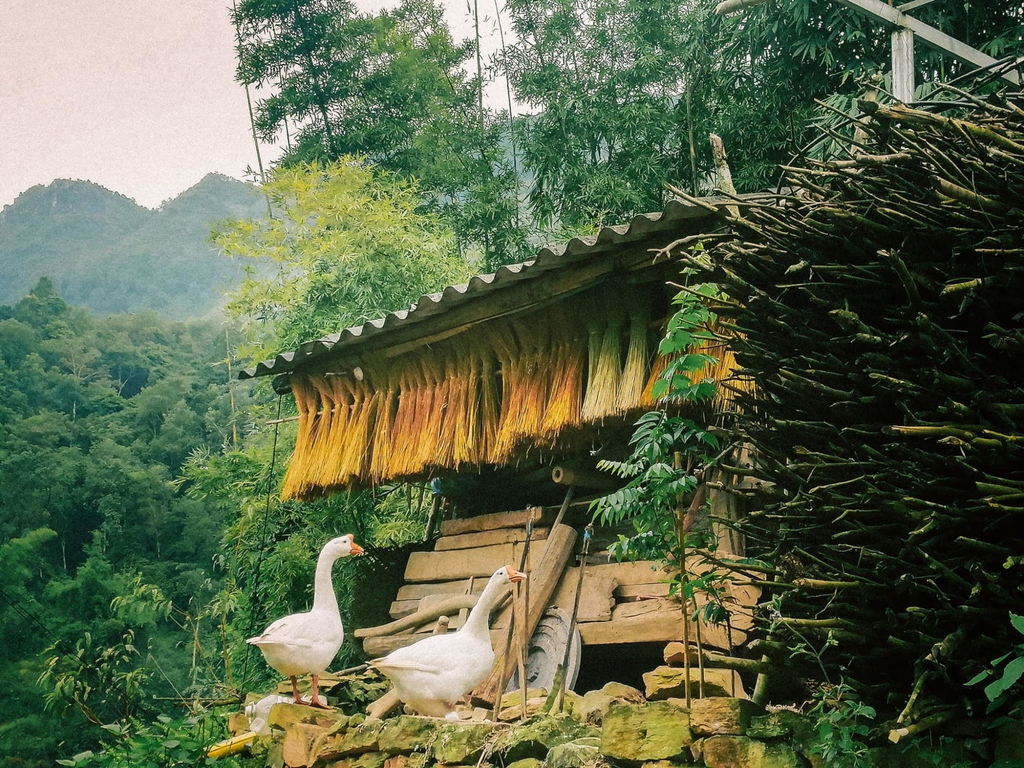 Làng cổ Thiên Hương