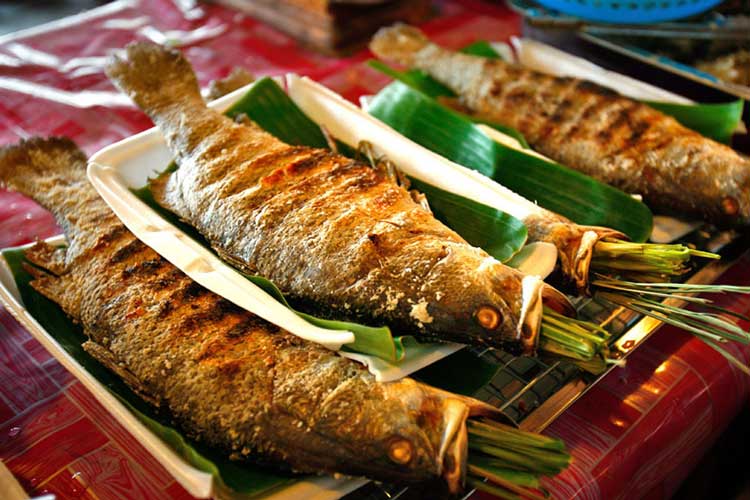 Cá Suối