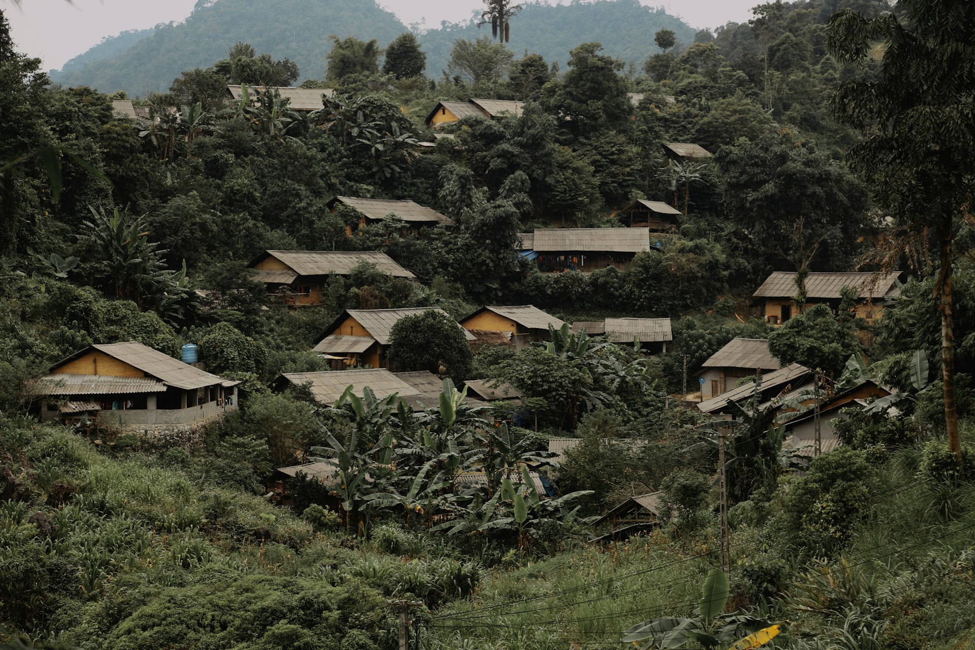 Homestay & Villa