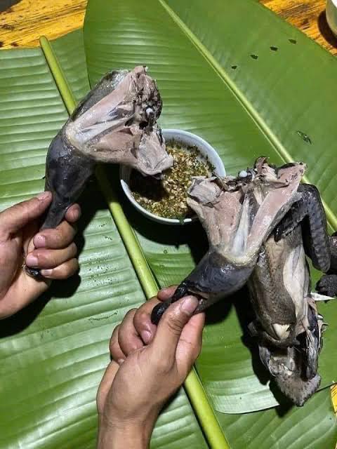 Gà đen H'Mông