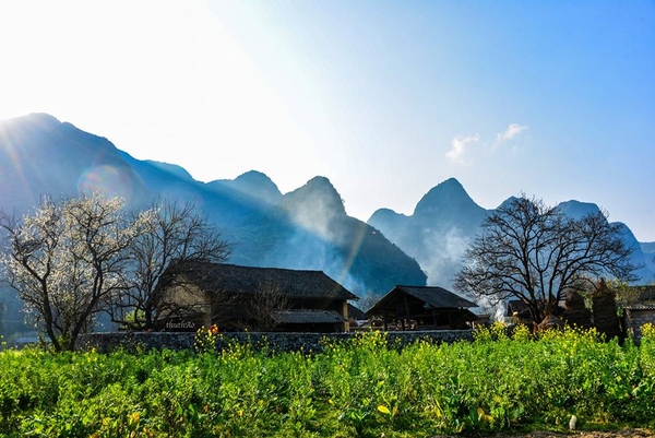 Du Lịch Hà Giang Mùa Nào Đẹp Nhất? Kinh Nghiệm Đi Hà Giang 12 Tháng