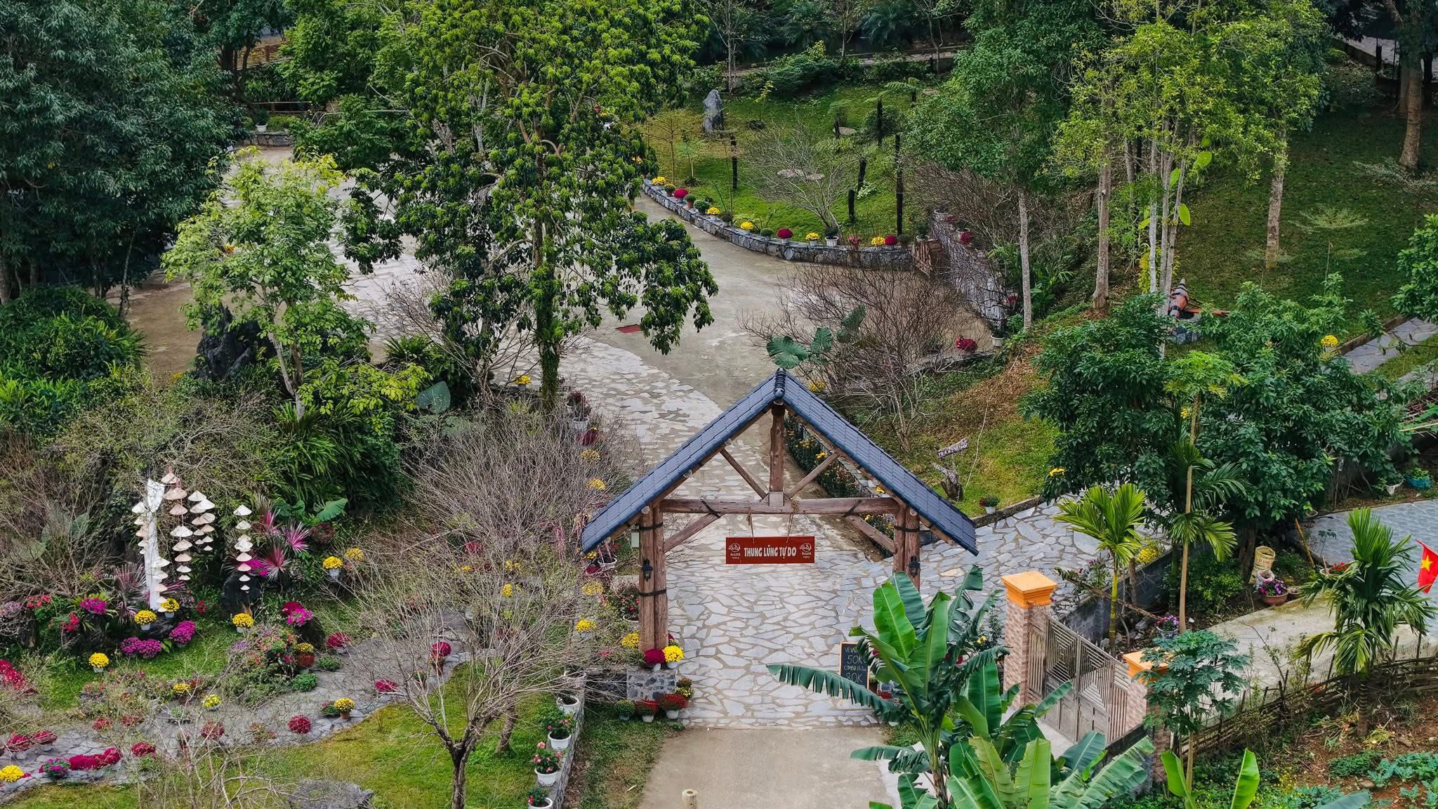 Ha Giang Rocky Mountain Custard Apple Week 2026 – Orchard & Local Food Experience