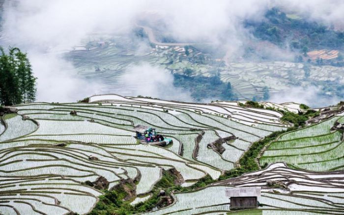 Mùa Nước Đổ Hà Giang – Tháng Mấy Đẹp & Ngắm Ở Đâu?